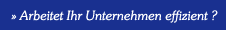 Arbeitet Ihr Unternehmen effizient ?